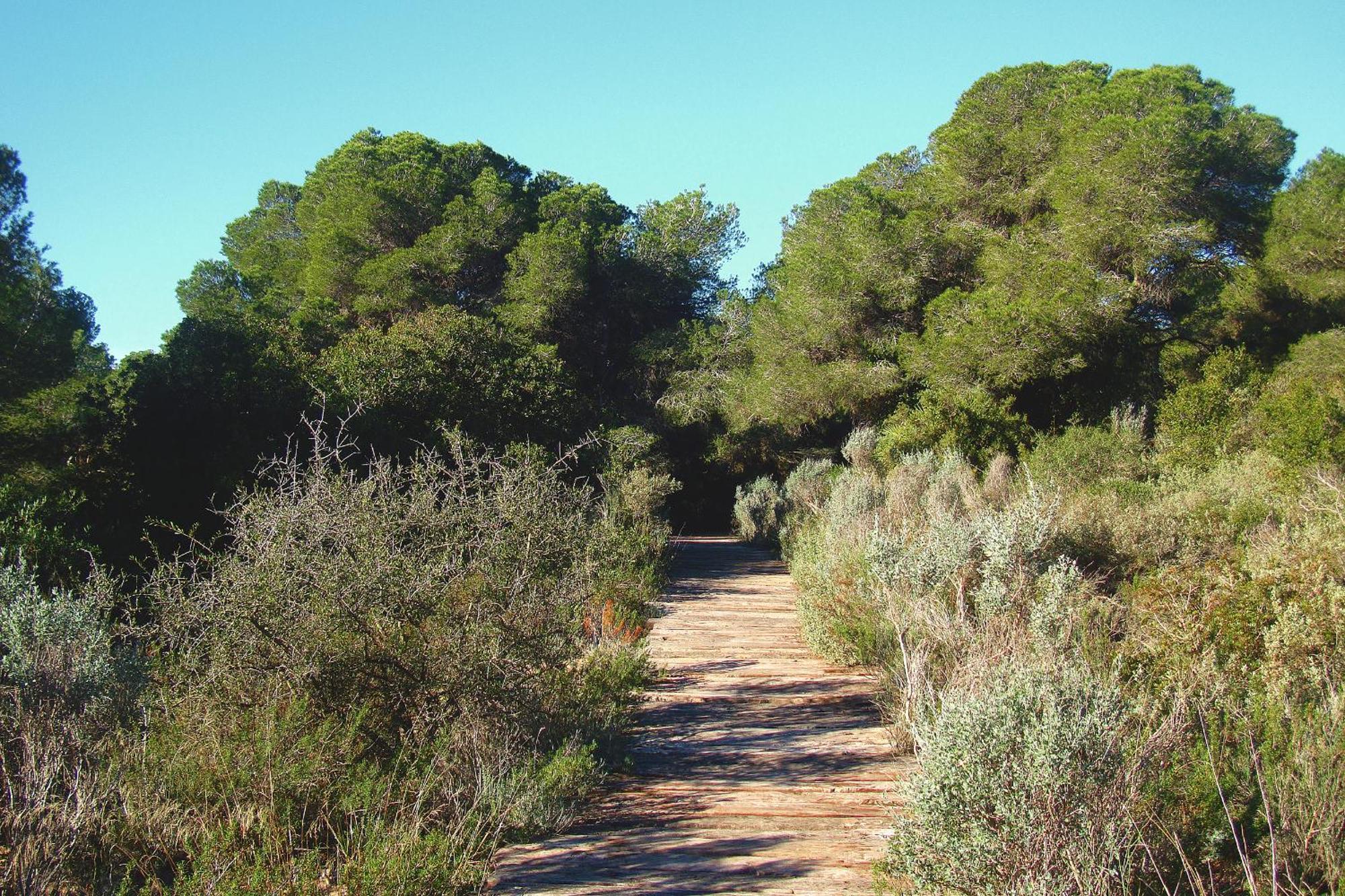 Albufera Dreams Nature Suites Valencia Exterior foto